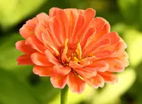 IMG_3203.webp