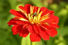 IMG_3201.webp