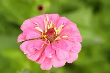 IMG_3196.webp