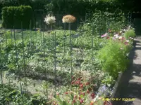 Garten 037.webp