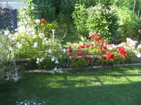 IMG_1667.webp