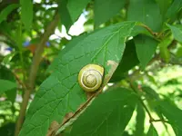 DSCF3613.webp