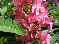 DSCF3605.webp