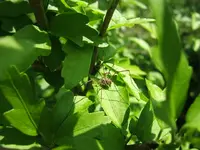 DSCF3598.webp