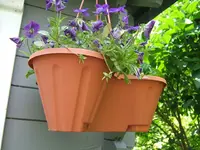 27501.webp