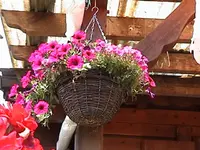 DSC00026.webp