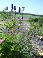 staudenbeet 1.webp