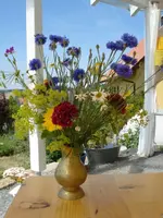Sommerstrauß.webp