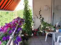 P6273397.webp
