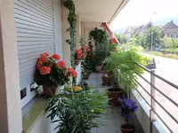 P6273414.webp