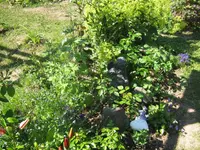 049.webp