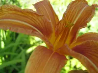 060.webp