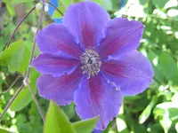 020.webp