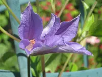 024.webp