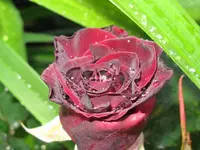 IMG_6641_1024x768.webp