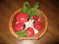 IMG_1218.webp