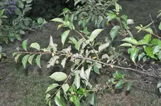DSC_0026_DxO.webp