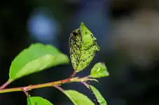 DSC_0031_DxO.webp