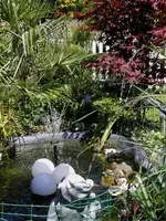 2010_06_04 (16) (Medium).webp