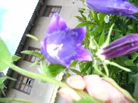 180610 008.webp
