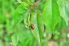 DSC_0049_DxO.webp