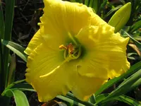 IMG_sabie_1024x768.webp