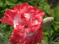 IMG_6646_1024x768.webp