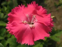 IMG_6647_1024x768.webp