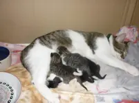 Babys erster Tag 039.webp