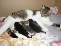 Babys erster Tag 044.webp