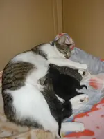 Babys Tag 2 072.webp