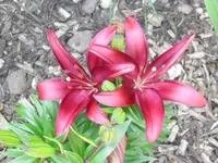 28.06 003.webp