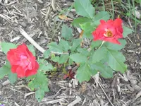 28.06 004.webp