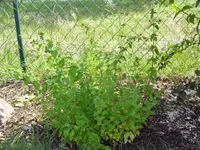 28.06 012.webp