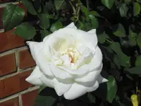 28.06 013.webp