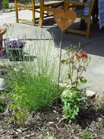 28.06 014.webp
