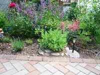 DSCF3620.webp