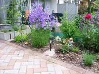 DSCF3619.webp