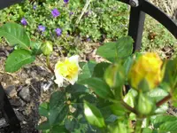 29.06 009.webp