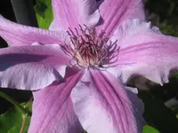 005.webp