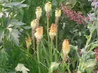 29-06-2010 003.webp