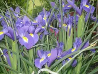 29-06-2010 017.webp