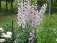 29-06-2010 028.webp