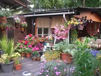 29-06-2010 032.webp