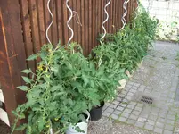 100_1274.webp