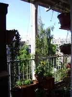 balkon_juni 077.webp