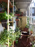 balkon_juni 099.webp