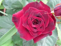 IMG_6680_1024x768.webp