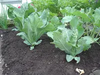 2010.06.29 003.webp