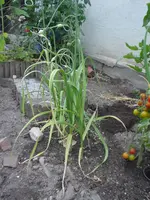 2010.06.29 005.webp